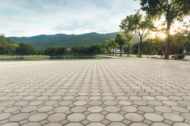 Best Driveway Repair Near Me  in Henderson, NC