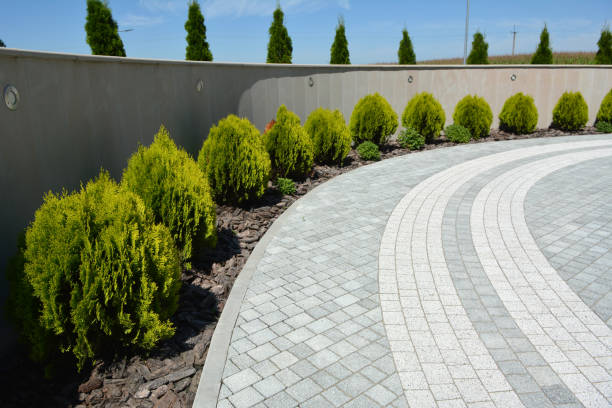 Best Driveway Paving Contractor  in Henderson, NC